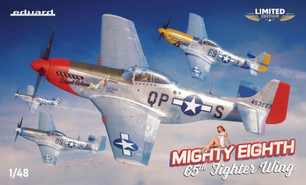 MIGHTY EIGHTH: 65th Fighter Wing 1/48