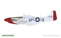MIGHTY EIGHTH: 65th Fighter Wing 1/48