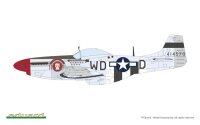 MIGHTY EIGHTH: 65th Fighter Wing 1/48