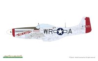 MIGHTY EIGHTH: 65th Fighter Wing 1/48