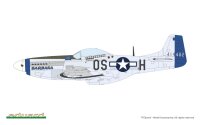 MIGHTY EIGHTH: 65th Fighter Wing 1/48