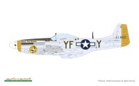 MIGHTY EIGHTH: 65th Fighter Wing 1/48