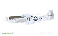 MIGHTY EIGHTH: 65th Fighter Wing 1/48