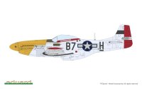 MIGHTY EIGHTH: 65th Fighter Wing 1/48