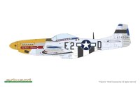 MIGHTY EIGHTH: 65th Fighter Wing 1/48