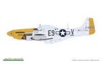 MIGHTY EIGHTH: 65th Fighter Wing 1/48