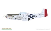 MIGHTY EIGHTH: 65th Fighter Wing 1/48