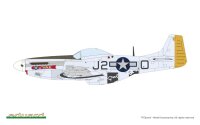 MIGHTY EIGHTH: 65th Fighter Wing 1/48
