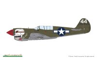 1/48 P-40N Warhawk - ProfiPACK