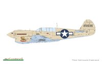 1/48 P-40N Warhawk - ProfiPACK