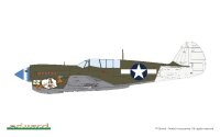 1/48 P-40N Warhawk - ProfiPACK