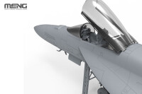 Boeing F/A-18E Super Hornet "Golden Dragons" 1:48