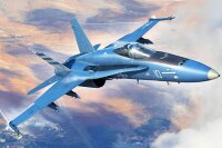 1/48 F/A-18C Hornet