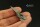 1/72 Focke-Wulf Fw-190D 3D-Printed Interior Decals