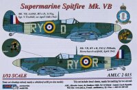 Spitfire Mk.VB, 313 Sq - Part II