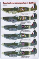 Czechoslovak commanders in the Spitfire